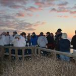 Cambria_0231 (November 04, 2017)